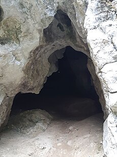 Goetzis-Oerflaschlucht-cave-06ESD.jpg