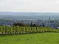 Weingebirge Rechnitz